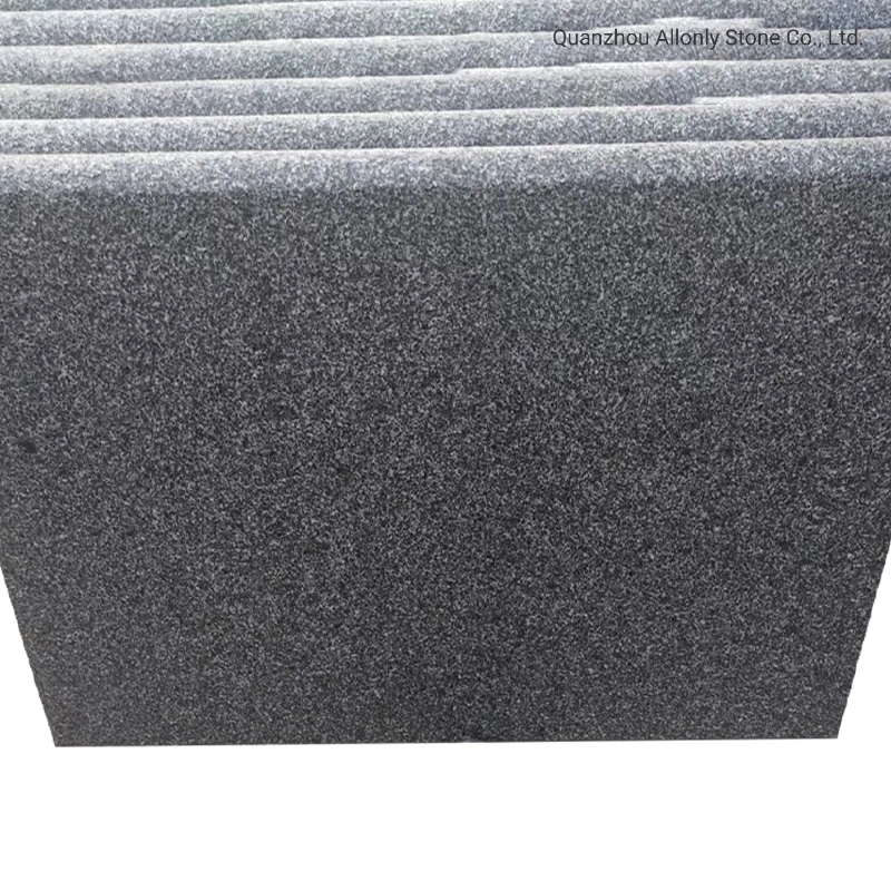 Bullnose Black Granite Swimming Pool Border with Patio Stone