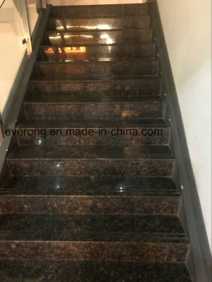 Escaliers en granit brun baltique poli pour les revêtements de sol